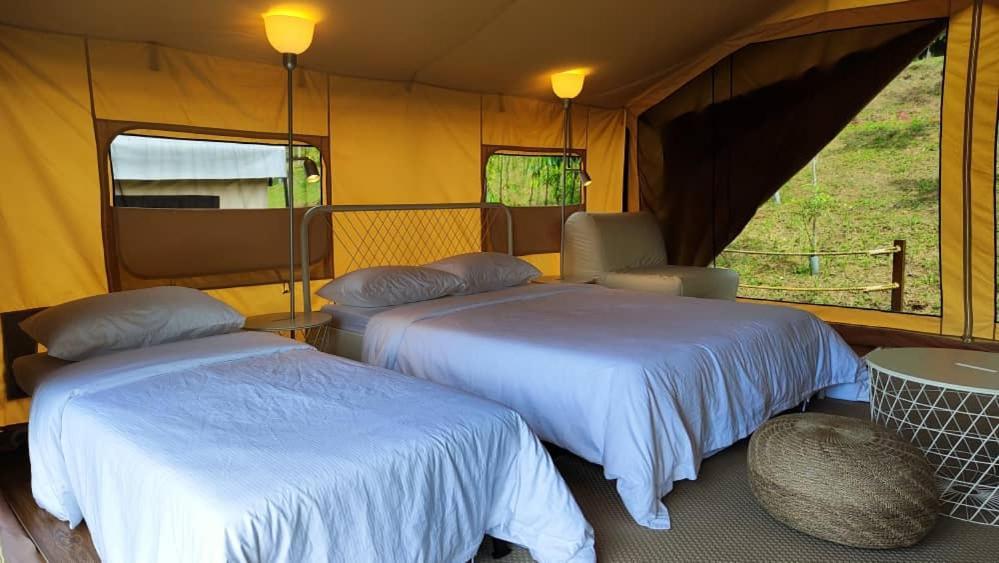 Luxury tent Canopy Sireh Park Johor Bahru